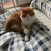 omar.io_