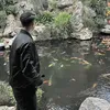h_chung2