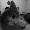 quynh_quynh007
