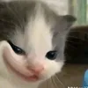 nguyenthanhliem29