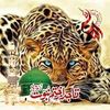 rajahussain4492