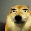 robloxdogno.1