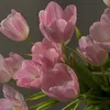 sofiks_316