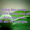 bich.ngoc4030