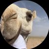 نوواف المقّرن.