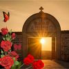 carmenirimiea793