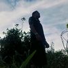 alexhp2935