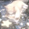 rinnn__000