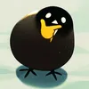 zinjifrah3