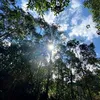 claudiacorrea0289