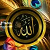 alanmuhammad06