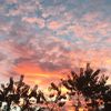rachel_1234abc