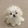 puppiesarethebest23