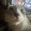 zekeorsomething_