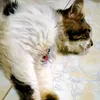 fitrianggara212324