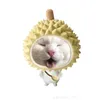 nong_noc203