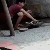 phan0120006