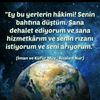 hanimaltun551