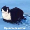 pisiaslav