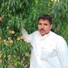 wazir.zada389