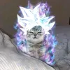 ftdrsrsrdrd