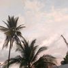 priv___ni