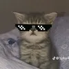 jaredrapal6