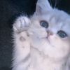 user :)