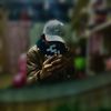 ahmedamr2702