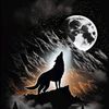 moonlightwolf26