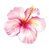 iamkulowii