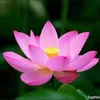 duongthuyyy_81