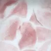 fish_sauce07