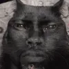 thisisaudre