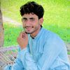 shulmandgk