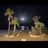 hananelouaghmiri