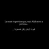 anr_el22