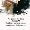 nur_baki