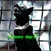 border_leo