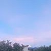 tamina_0008