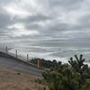 aliensliveintheocean