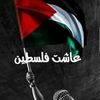 maryam.ashraf519
