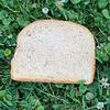 a_piece_of_bread3e