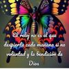 sofialopez6931