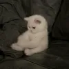 rm.iu1