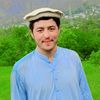 ibrarulhaq8170