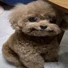maysaroiiz