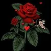 kothu4918