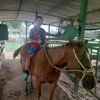 diego_perez946