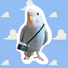 piiiiichan810